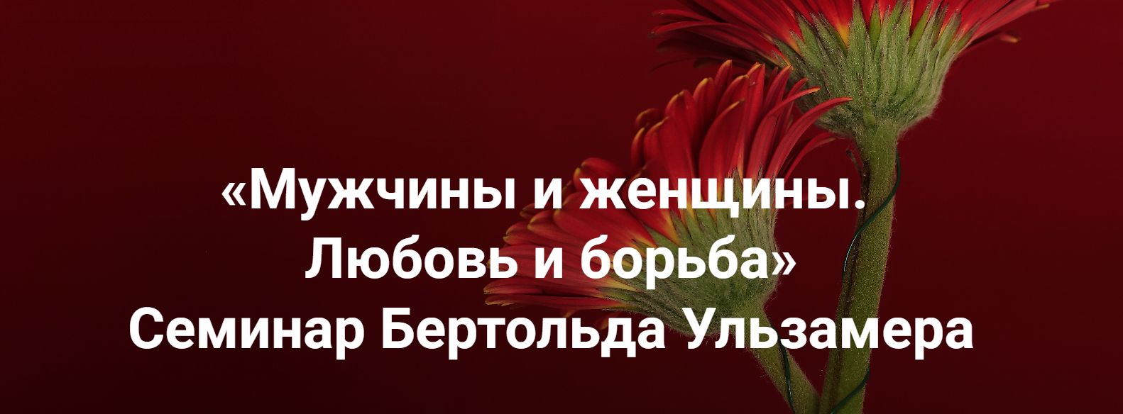 [Институт Открытого поля] Бертольд Ульзамер ― Мужч_0.png